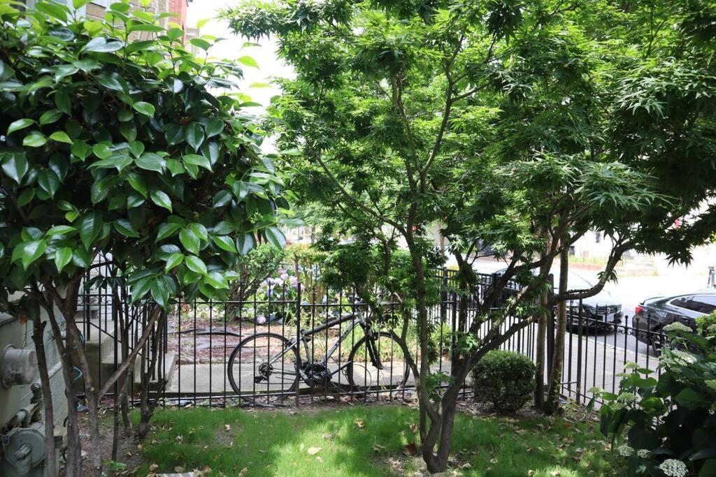 3-Bedroom House With Cute Patio Explore Dc On Foot Washington Eksteriør bilde